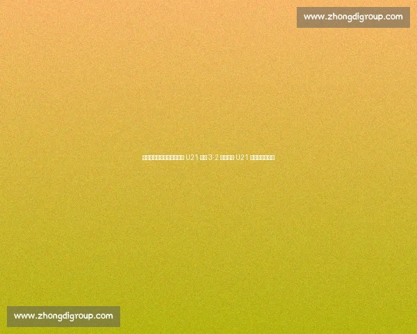 埃利奥特传射救主!英格兰 U21 加时 3-2 逆转德国 U21 卫冕欧青赛冠军 埃利奥特传射救主!英格兰 U21 加时 3-2 逆转德国 U21 卫冕欧青赛冠军