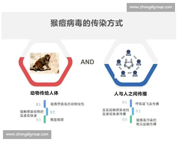 猴痘病毒传播路径及防控措施分析:全球疫情趋势与公共卫生应对策略 猴痘病毒传播路径及防控措施分析:全球疫情趋势与公共卫生应对策略